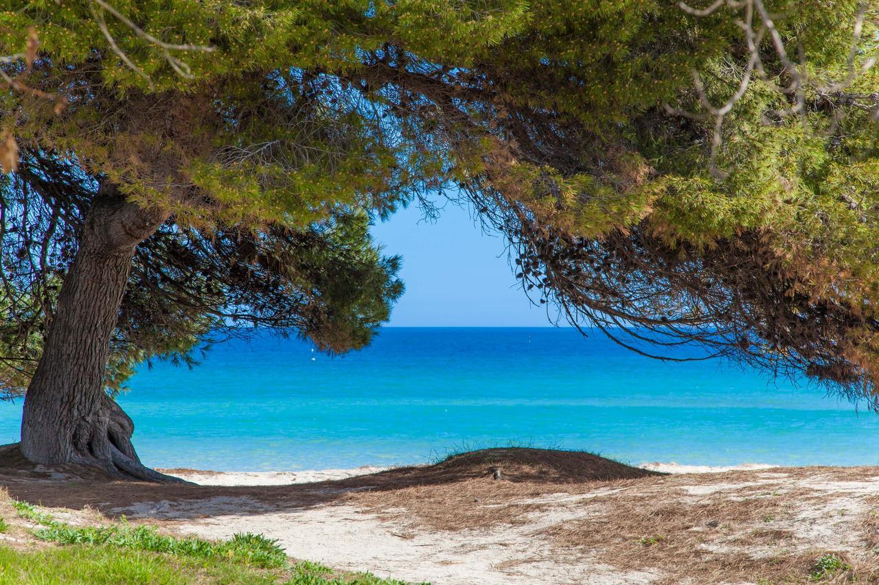 Villa Formentera 2 Can Picafort  Esterno foto